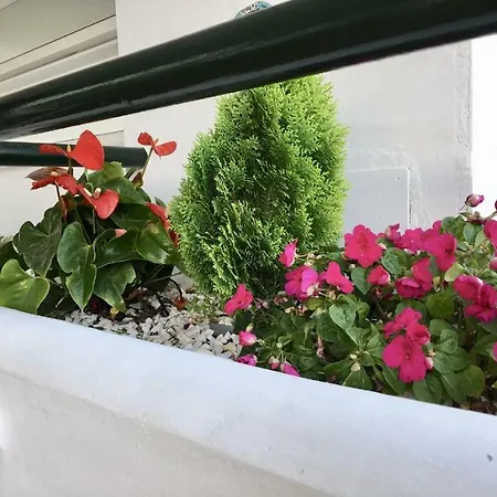 Apartamento Mi Capricho 2f Beachfront- With Sea View - Costa Del Sol *